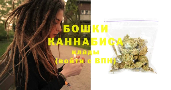 apvp Анива