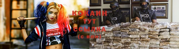 крисы Армянск