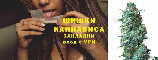 крисы Армянск