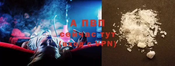 крисы Армянск