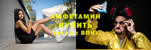 крисы Армянск
