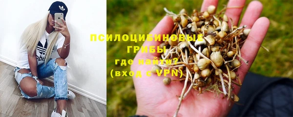 крисы Армянск