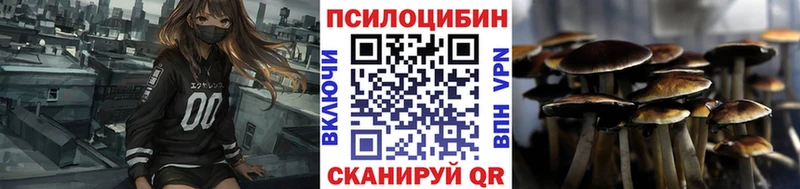 как найти закладки Белокуриха Псилоцибиновые грибы мицелий